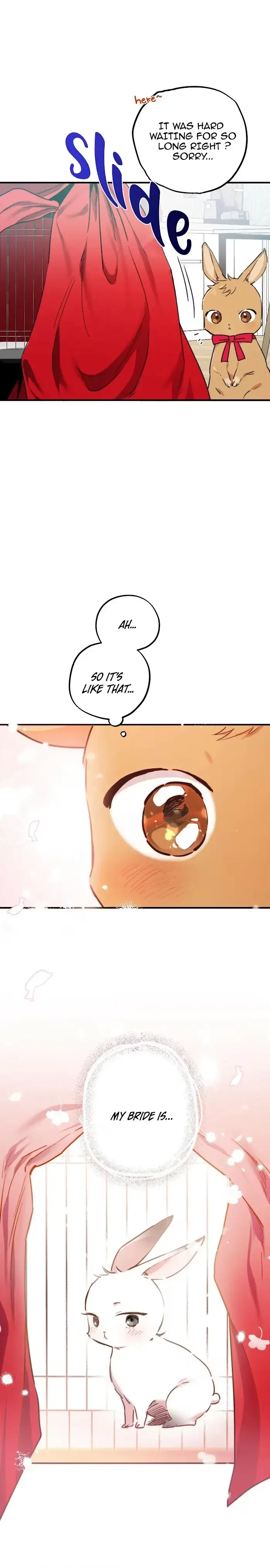 Chapter 2, page 7