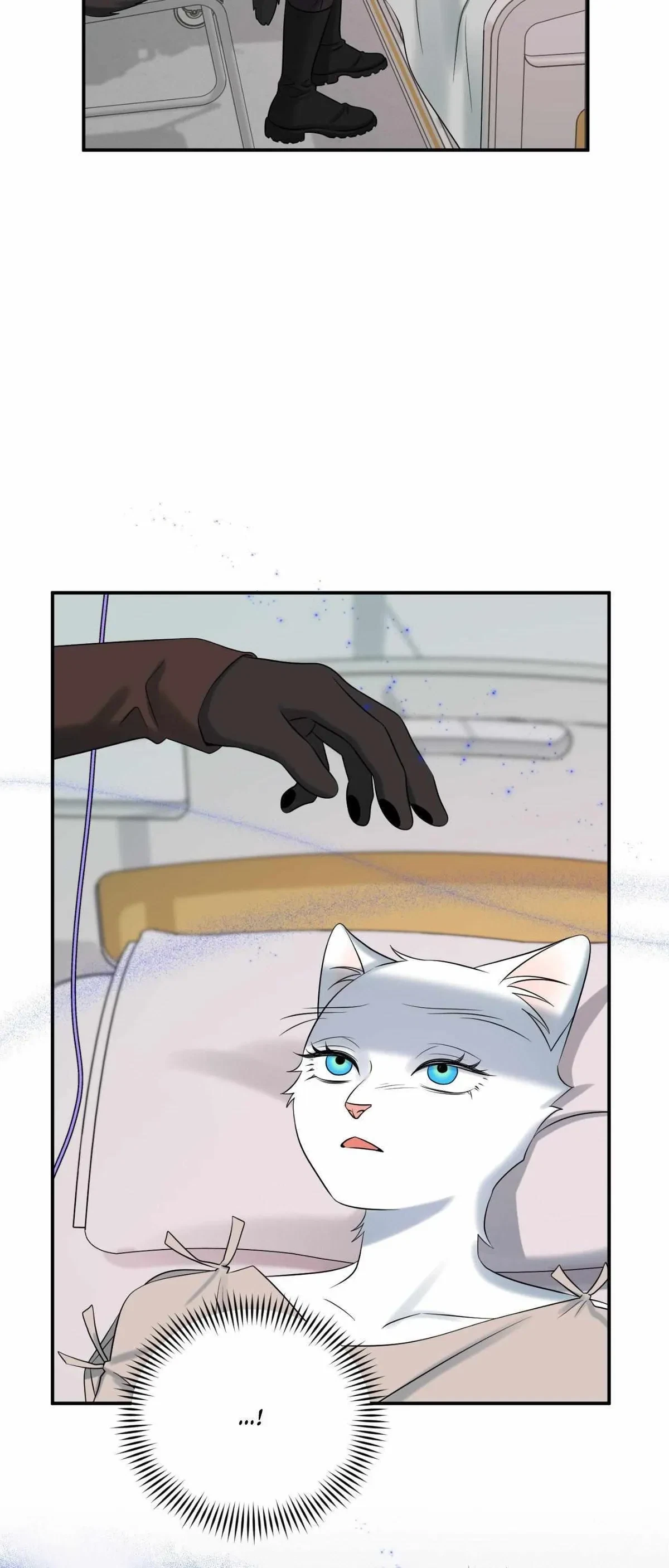 Chapter 70, page 21