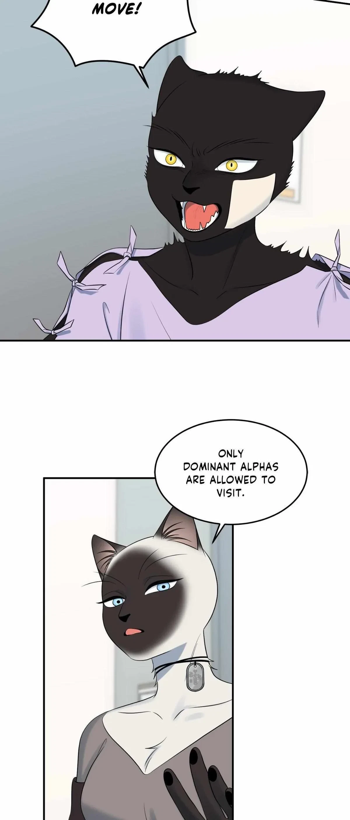 Chapter 70, page 32