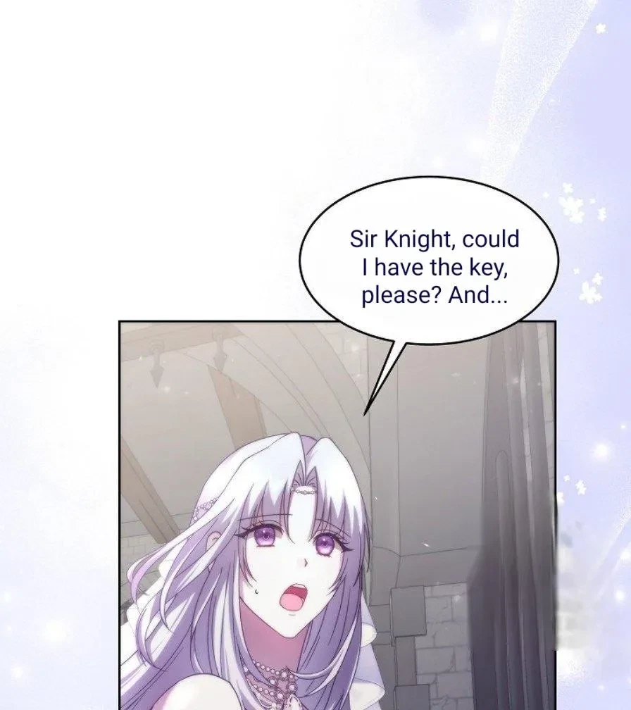 Chapter 1, page 20