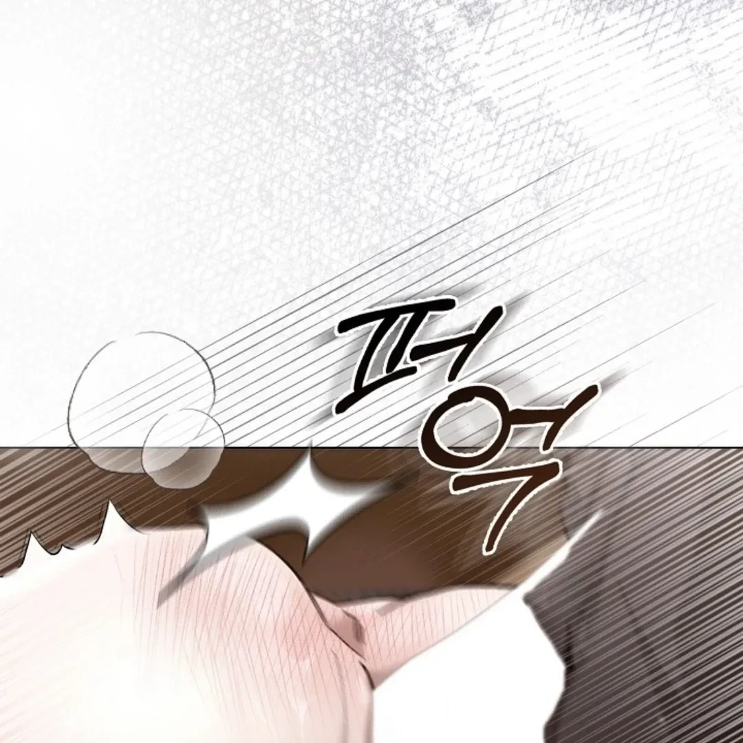 Chapter 1, page 13