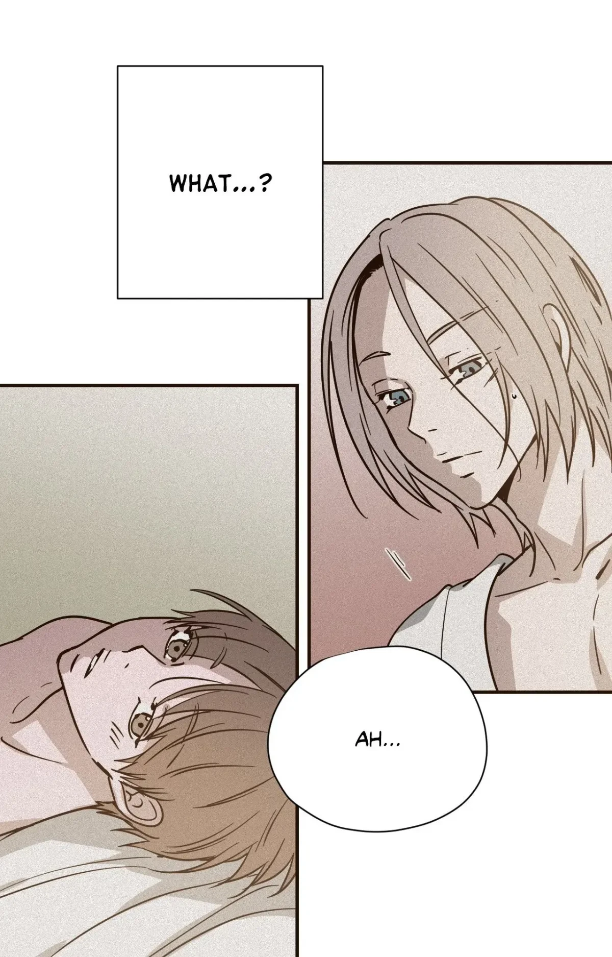 Chapter 2, page 21