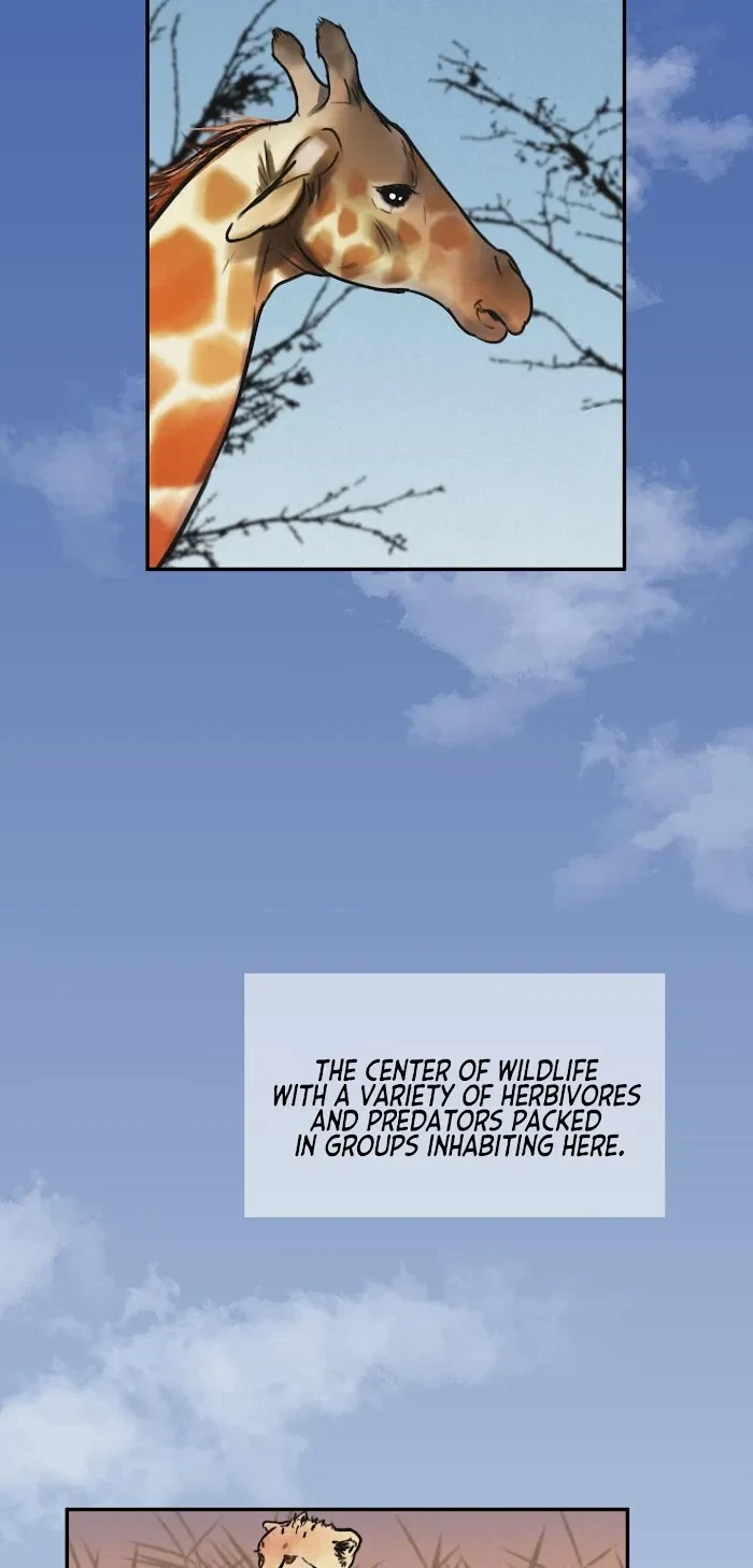 Safari Game Chapter 1, page 11