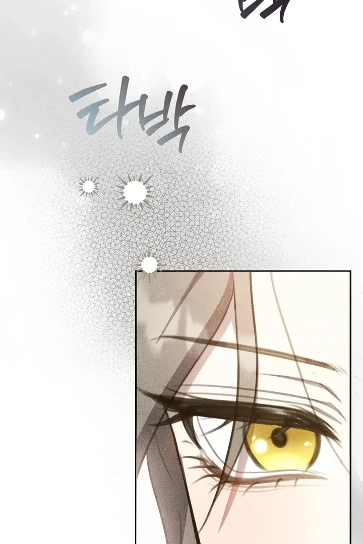 Chapter 12, page 17