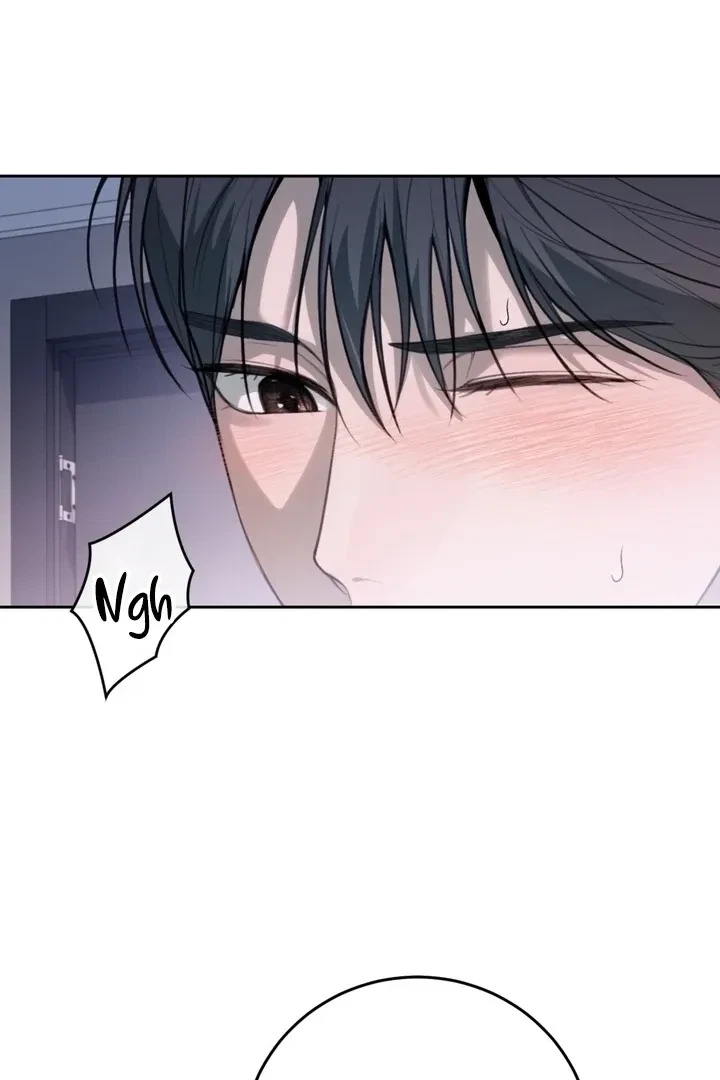 Chapter 4, page 65