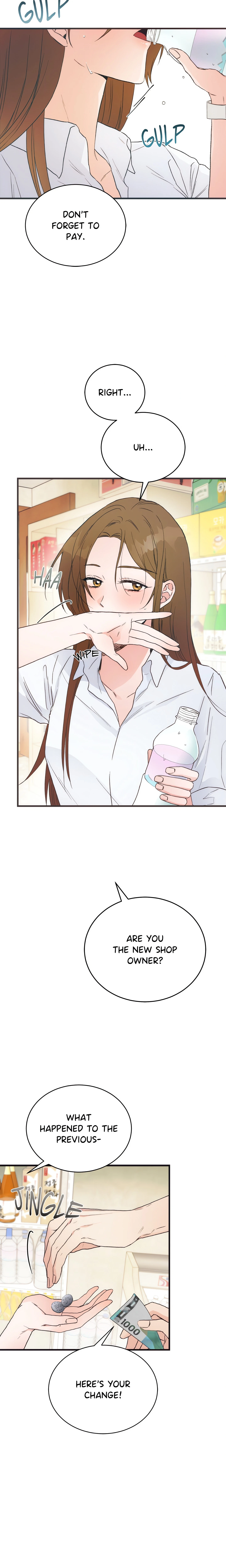 Chapter 1, page 17