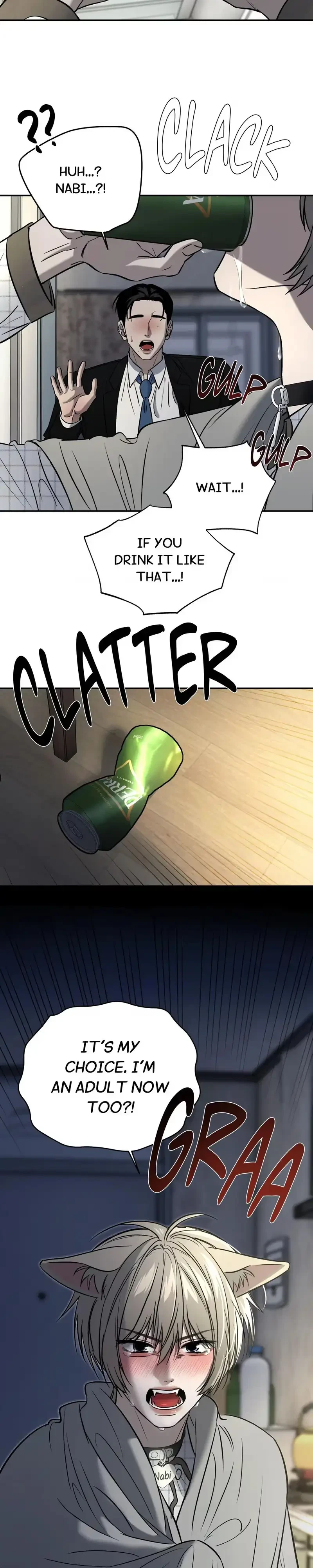 Chapter 4, page 15