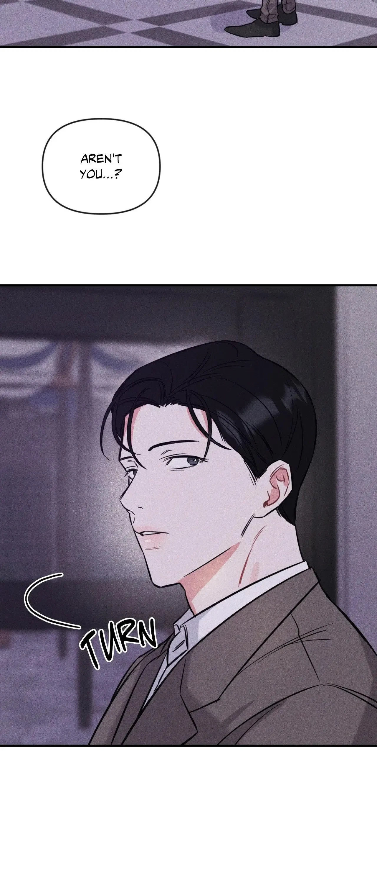 Chapter 2, page 19