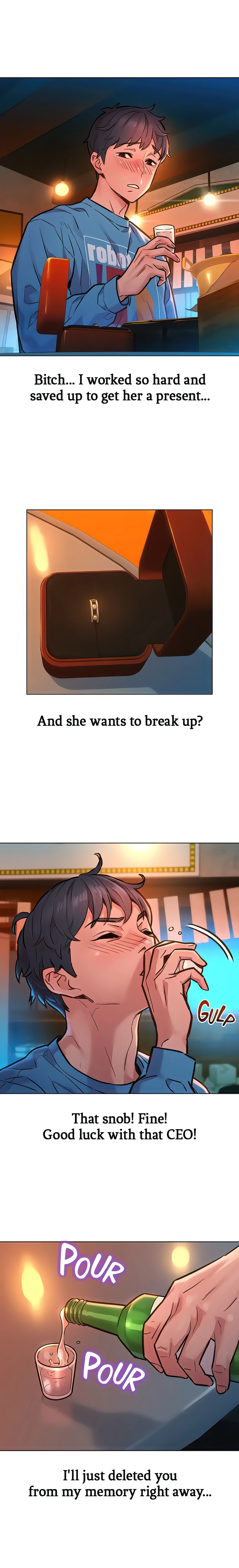 Chapter 1, page 13