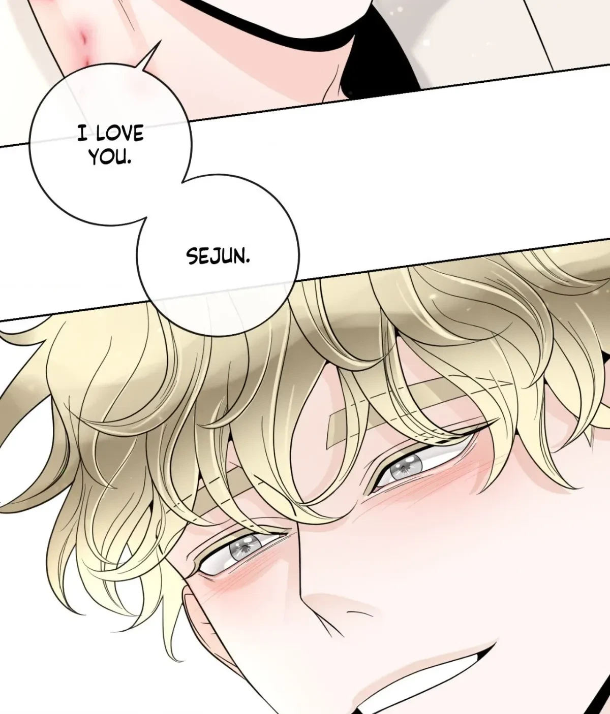 The Alpha's Mate Chapter 70, page 98
