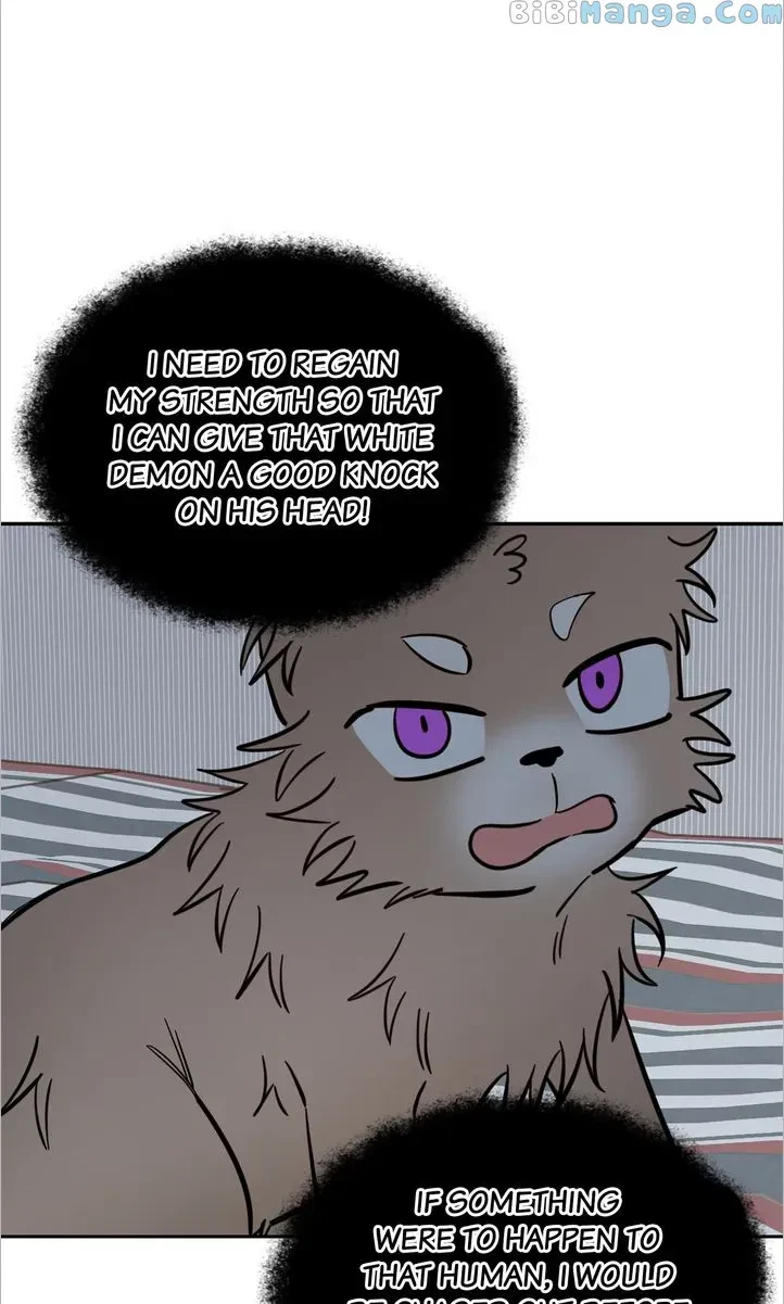 Chapter 25, page 25
