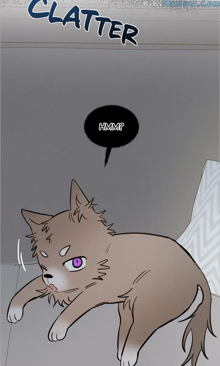 Chapter 25, page 3