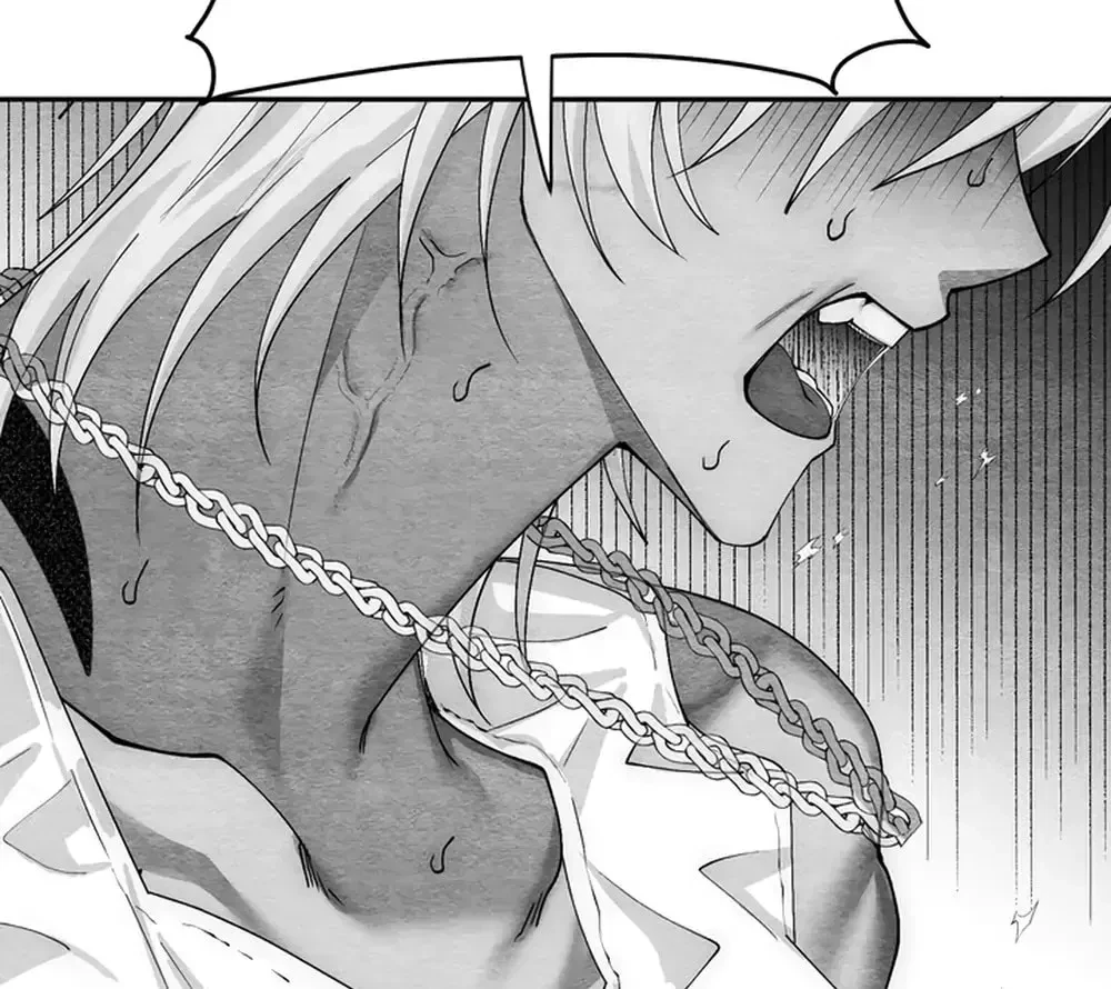 Chapter 2, page 101
