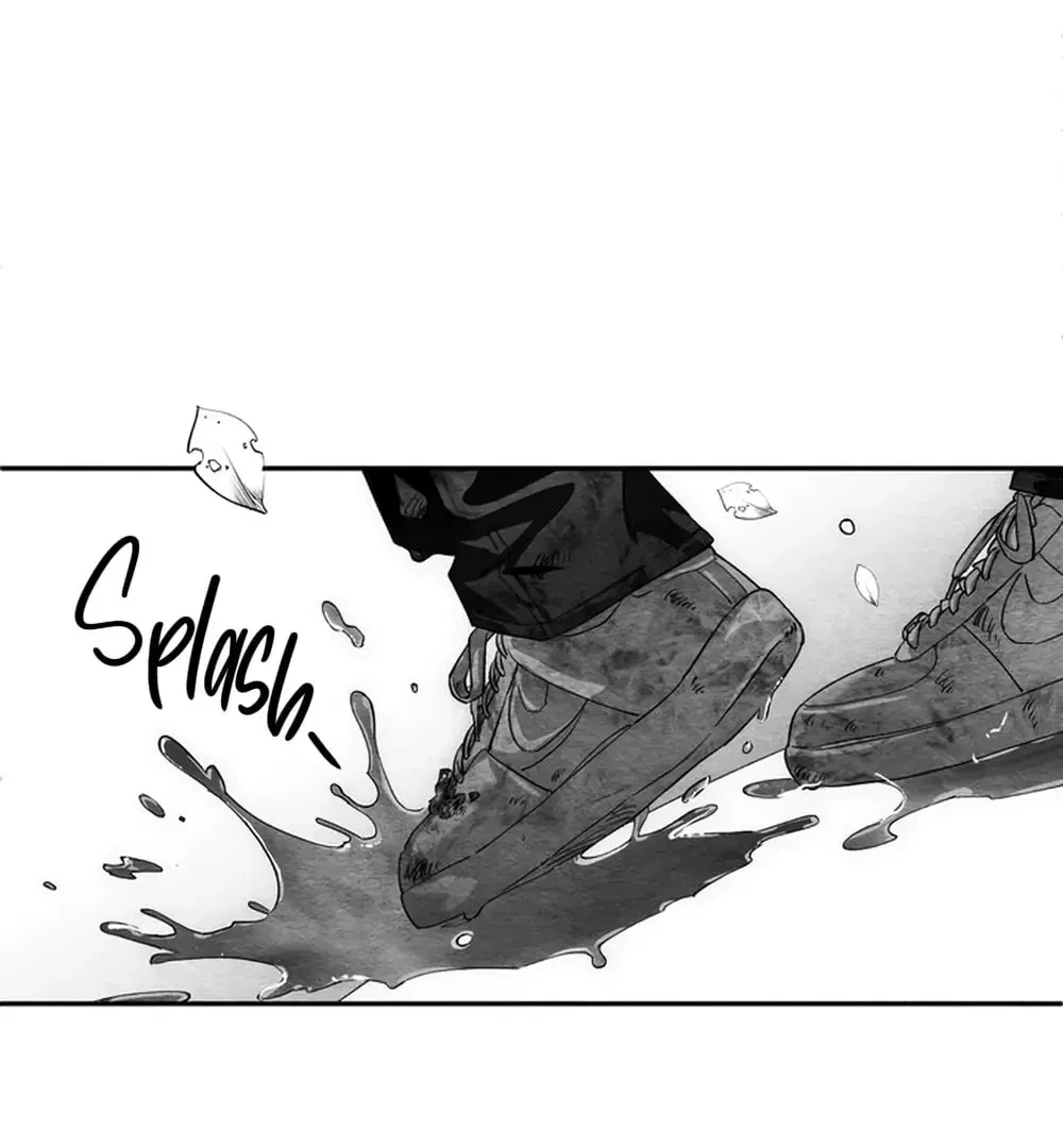 Chapter 2, page 106