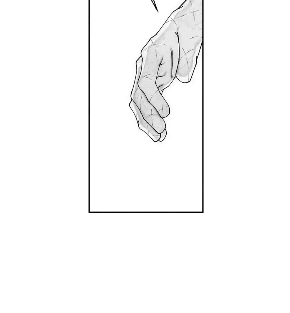 Chapter 2, page 12