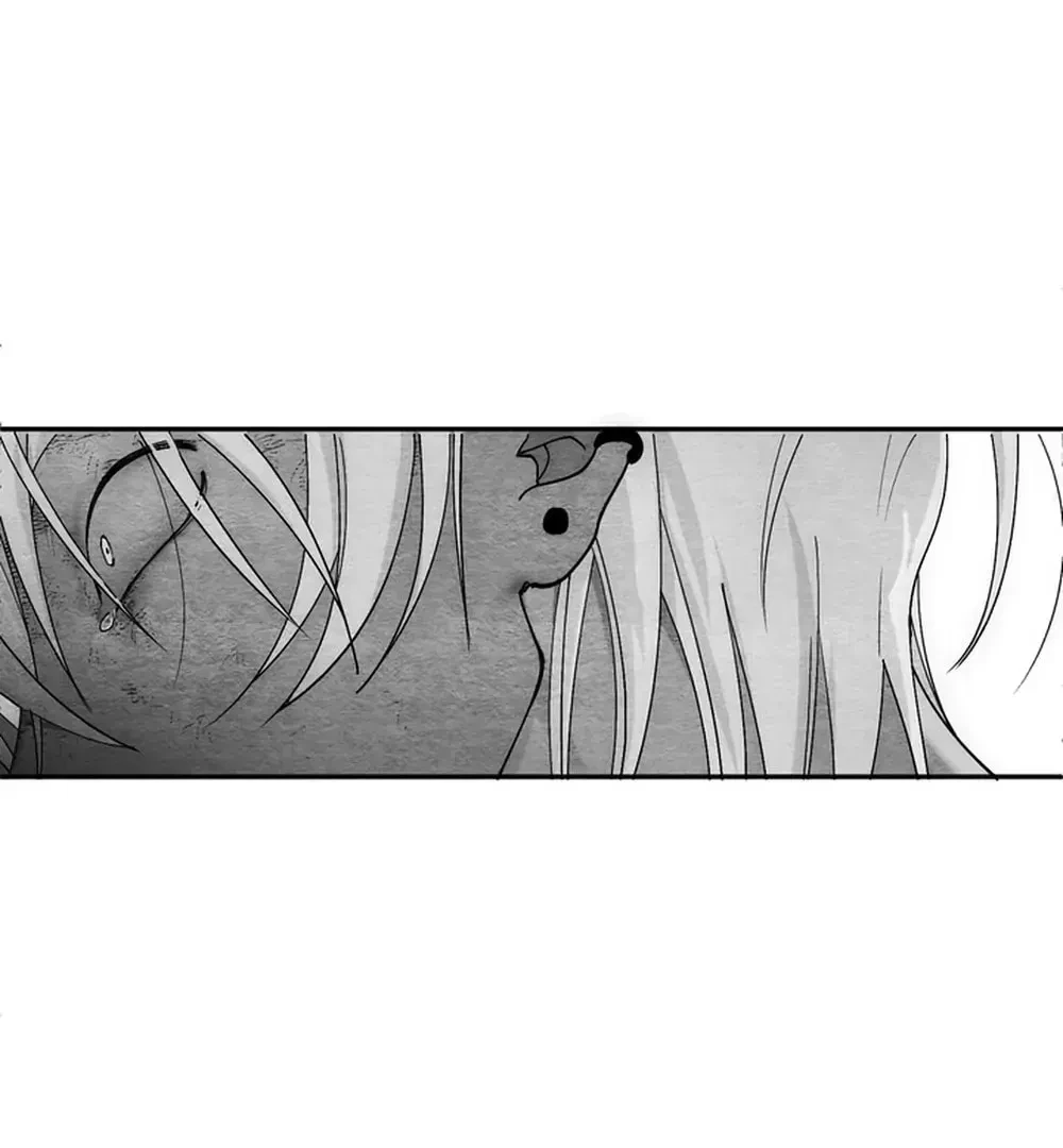 Chapter 2, page 13