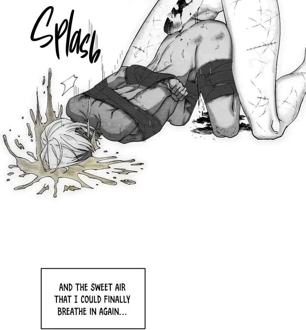 Chapter 2, page 63