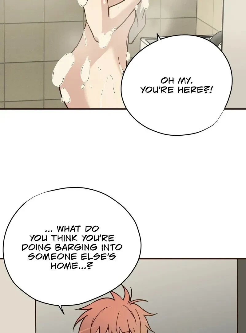 Chapter 2, page 63