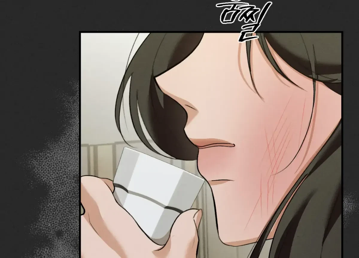 Chapter 16, page 96
