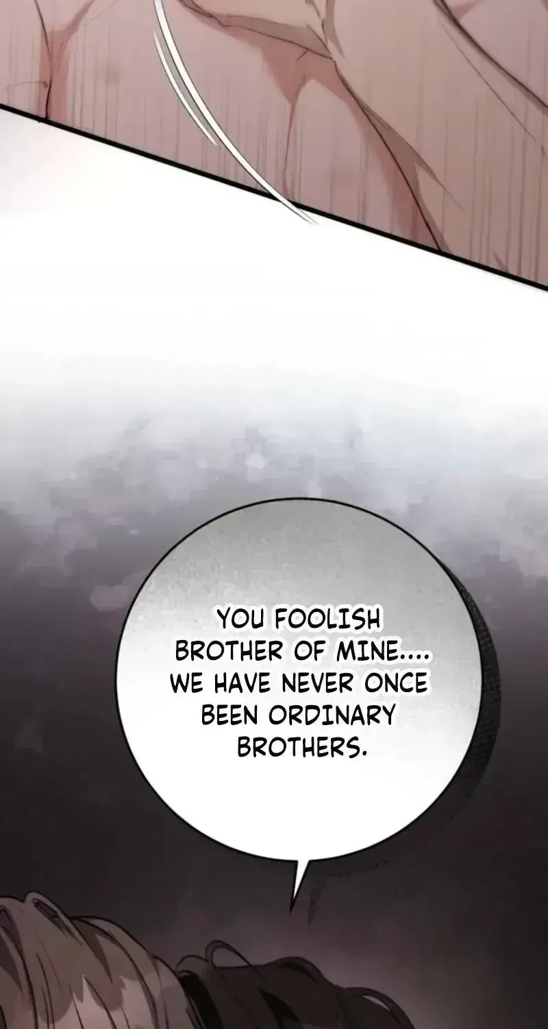 Chapter 1.6, page 31