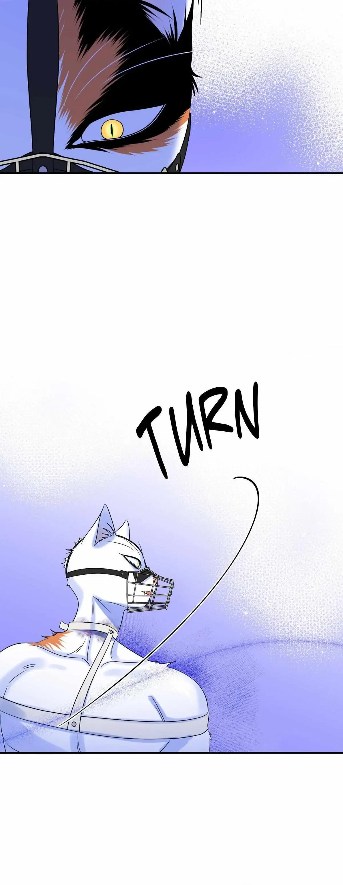 Chapter 75, page 49