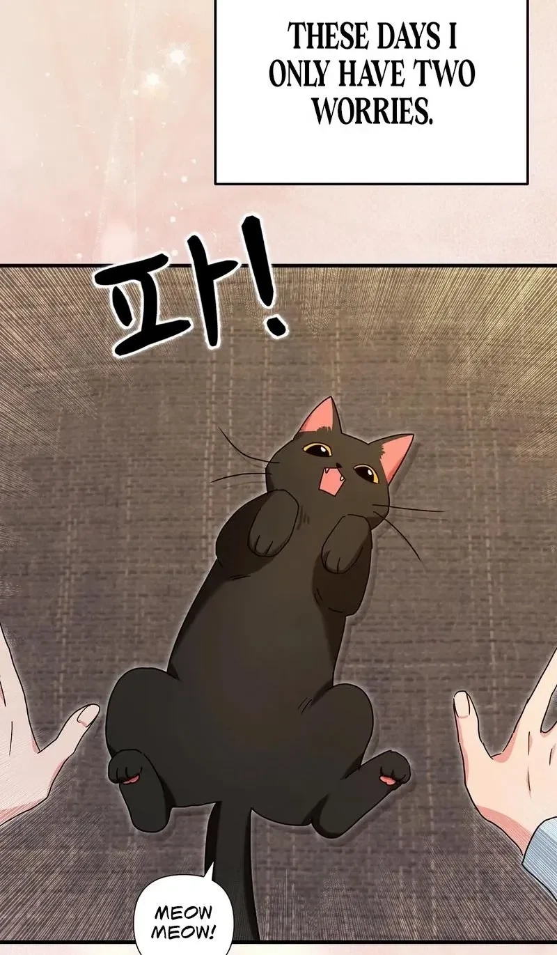Chapter 0, page 4