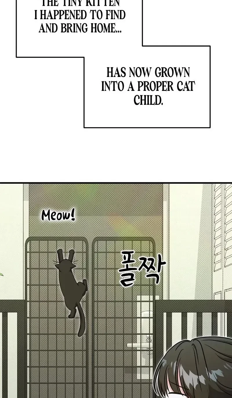 Chapter 0, page 6