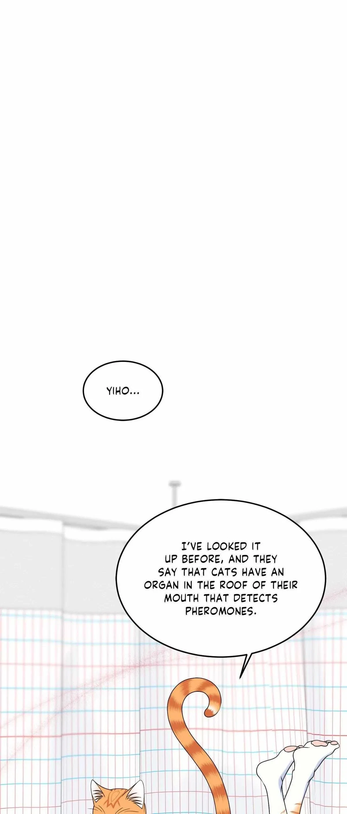 Chapter 78, page 19