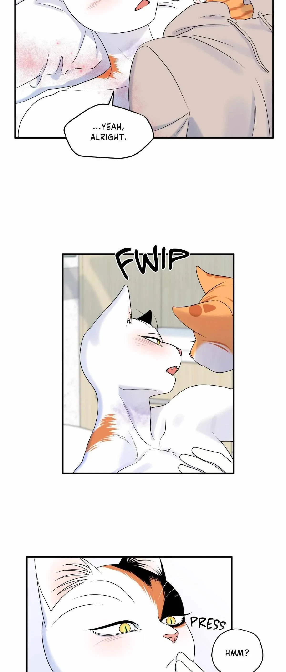 Chapter 78, page 24