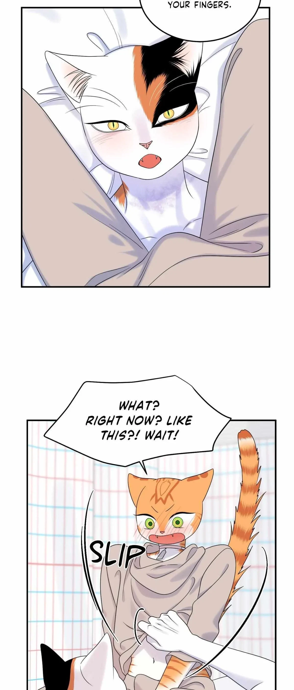 Chapter 78, page 31