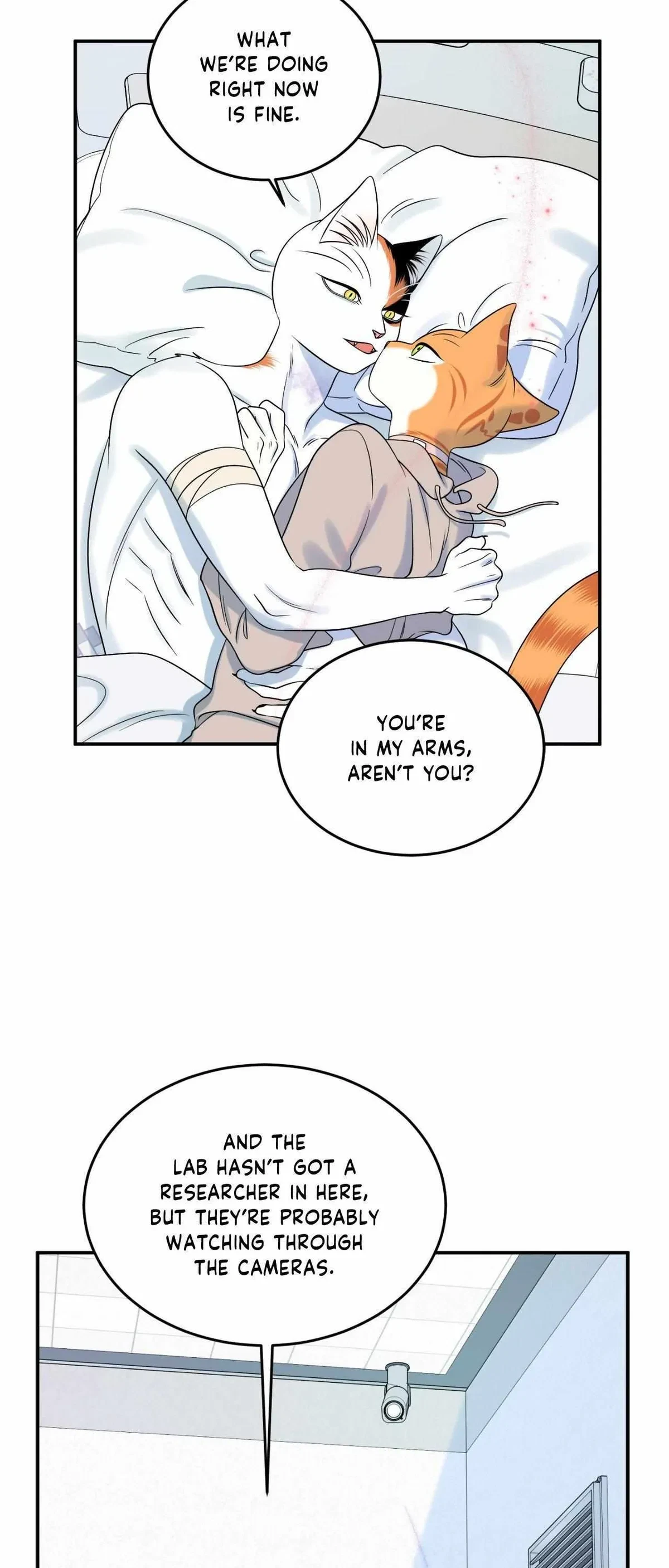 Chapter 78, page 6