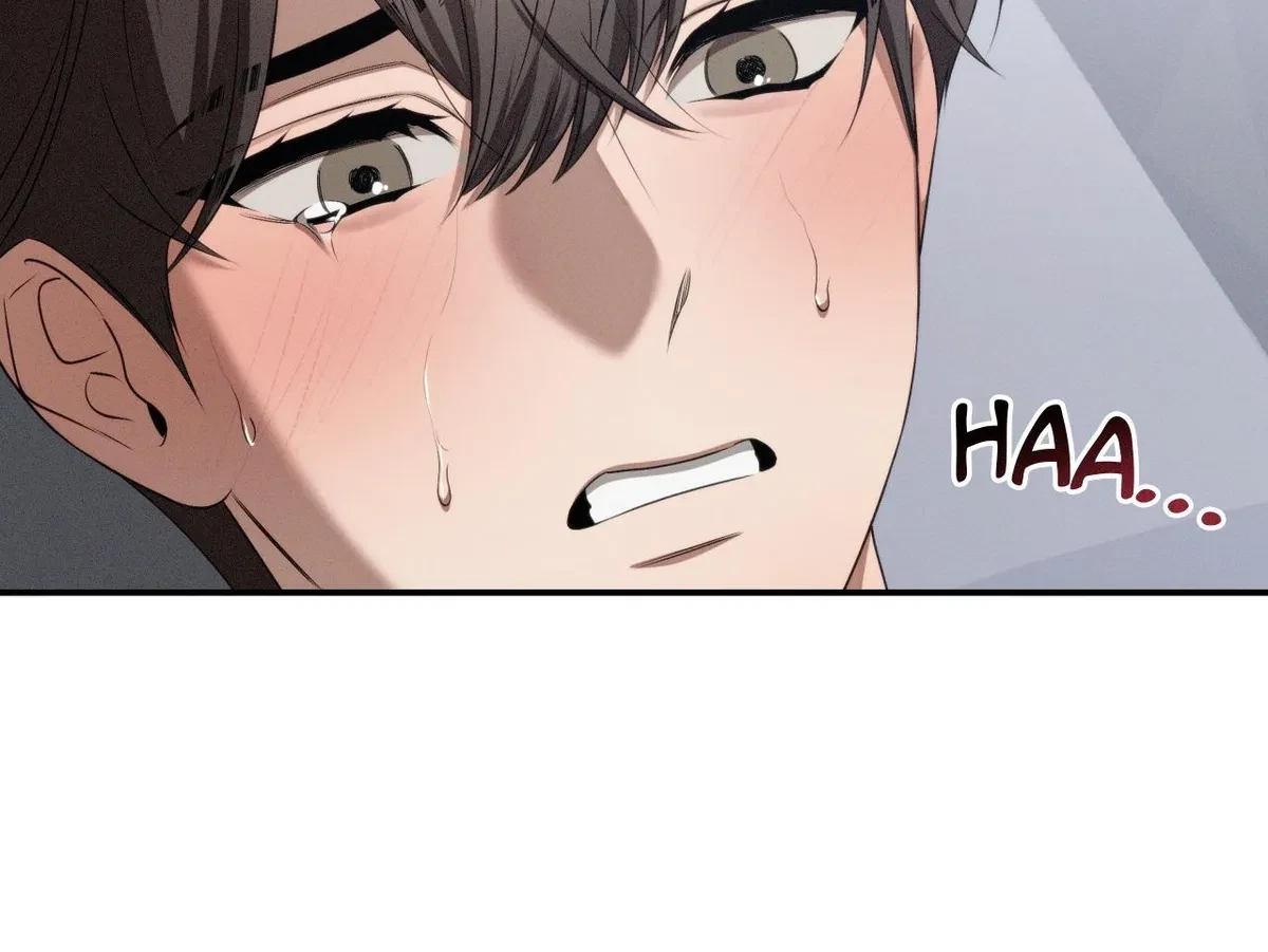 Chapter 74, page 19