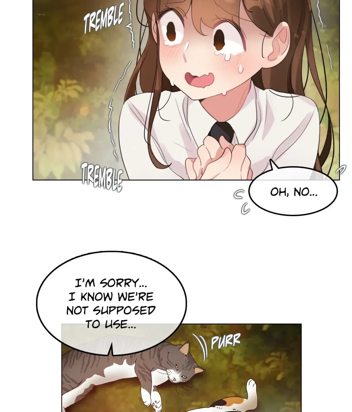 Chapter 12.9, page 11