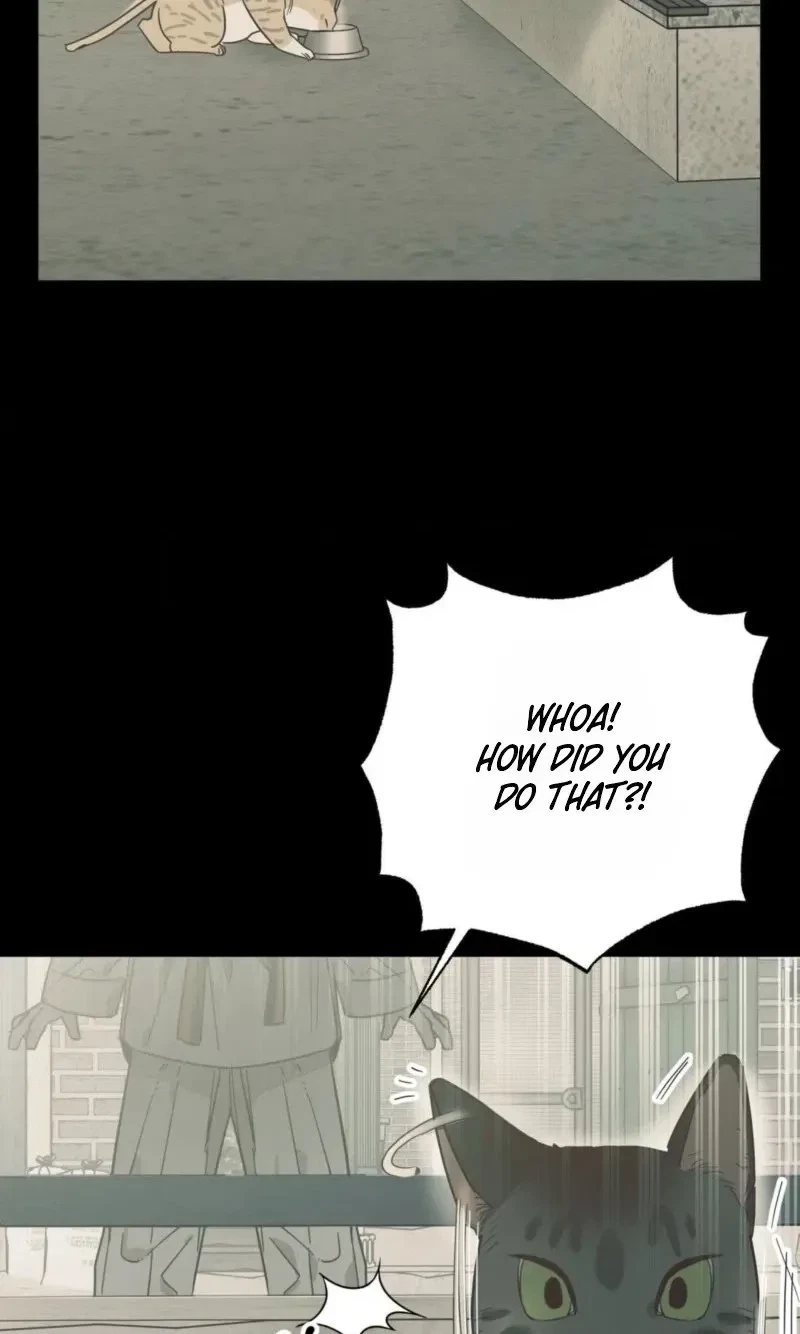 Chapter 28, page 10