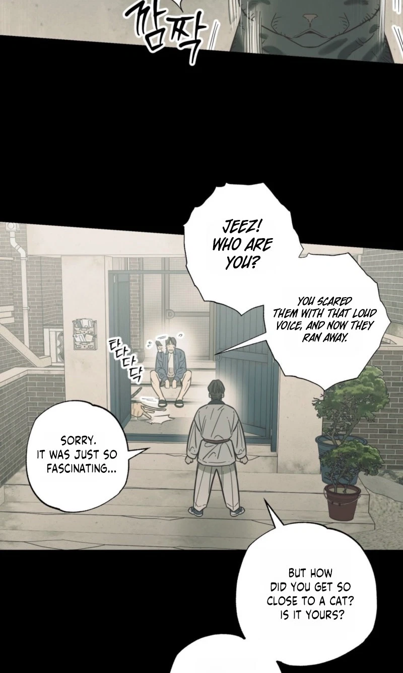Chapter 28, page 11