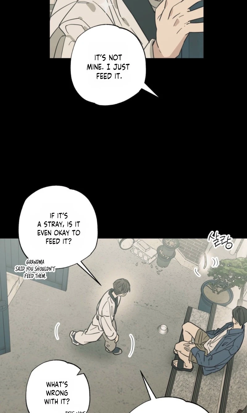 Chapter 28, page 13