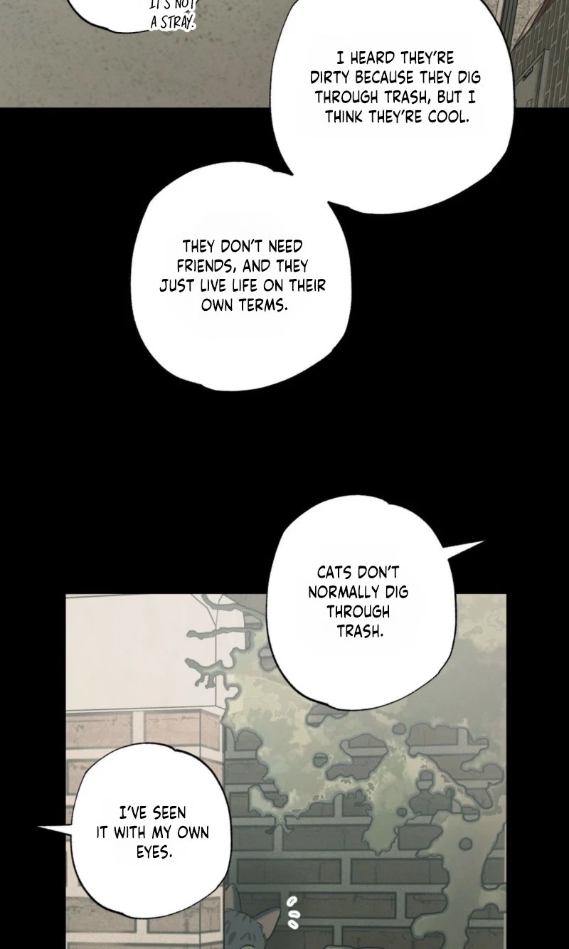 Chapter 28, page 14