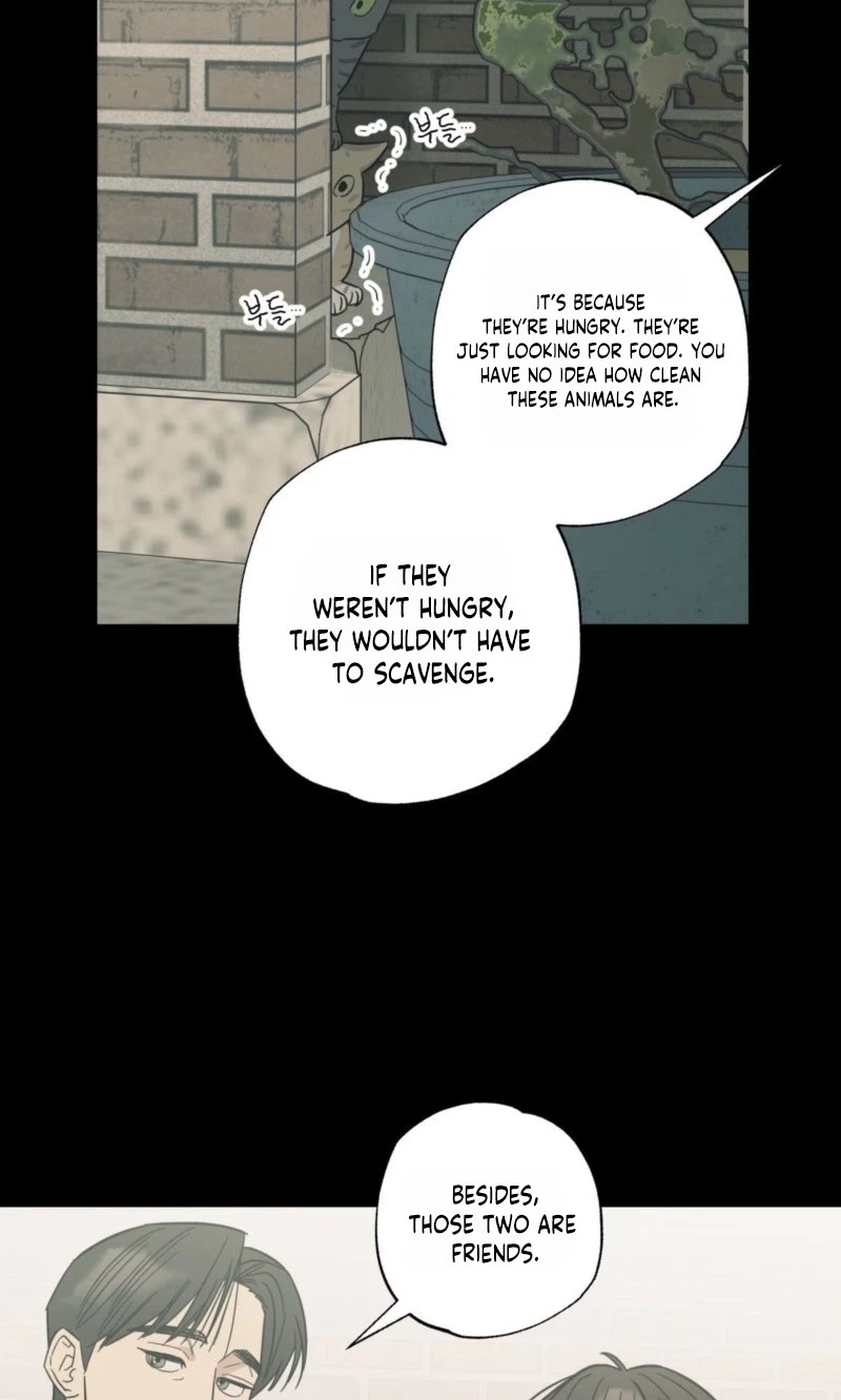 Chapter 28, page 15
