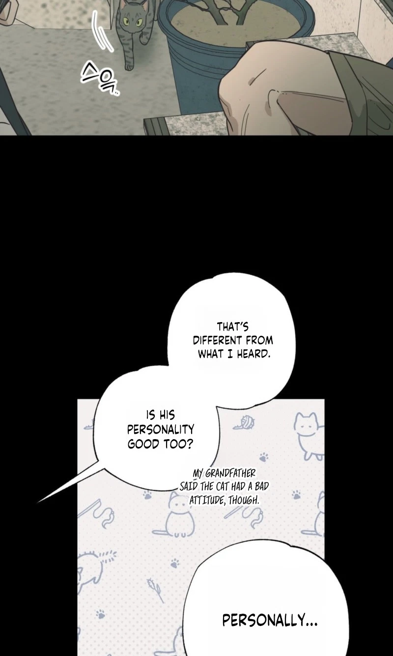 Chapter 28, page 17