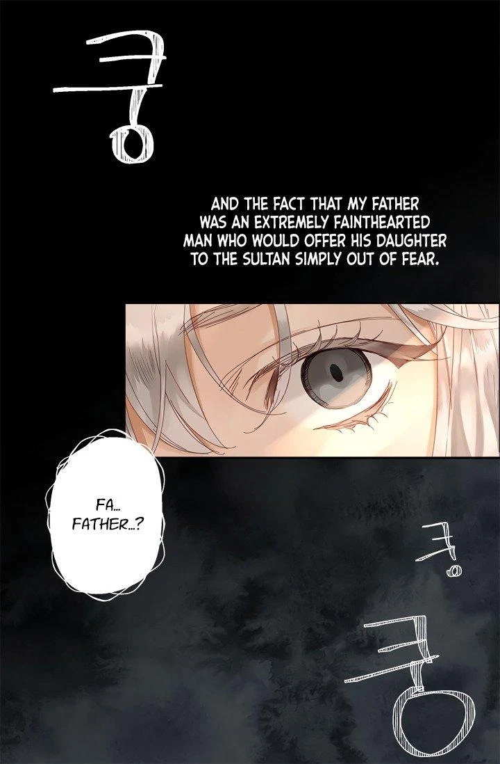 The Sultan's Love Chapter 1, page 14