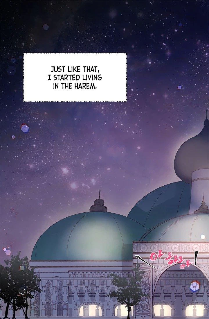 The Sultan's Love Chapter 1, page 16