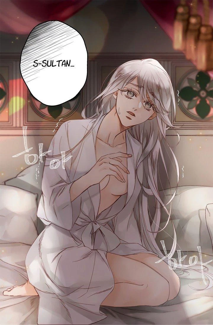 The Sultan's Love Chapter 1, page 3