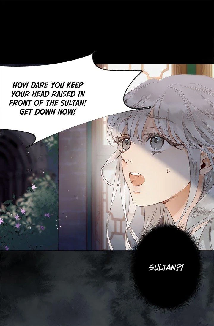 The Sultan's Love Chapter 1, page 30