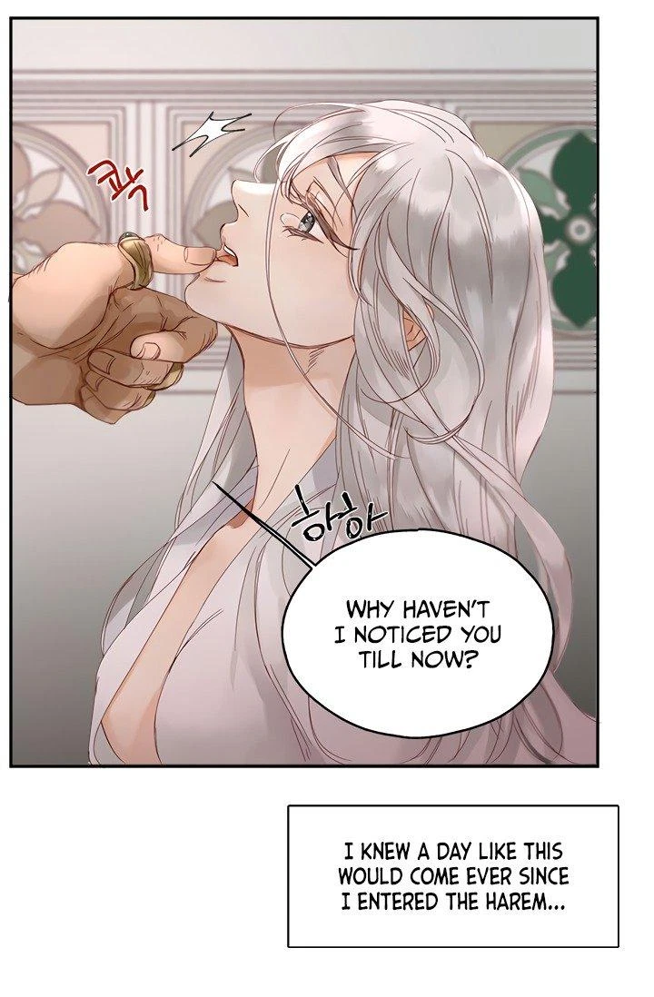 The Sultan's Love Chapter 1, page 5