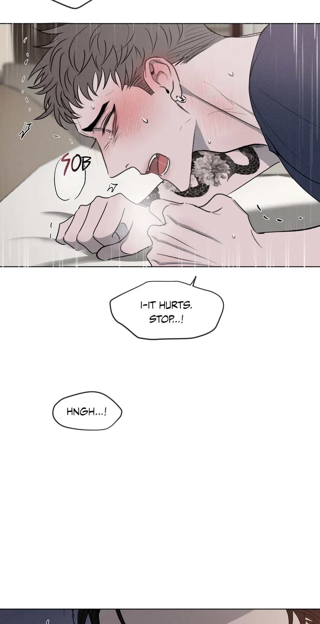 Chapter 4, page 15