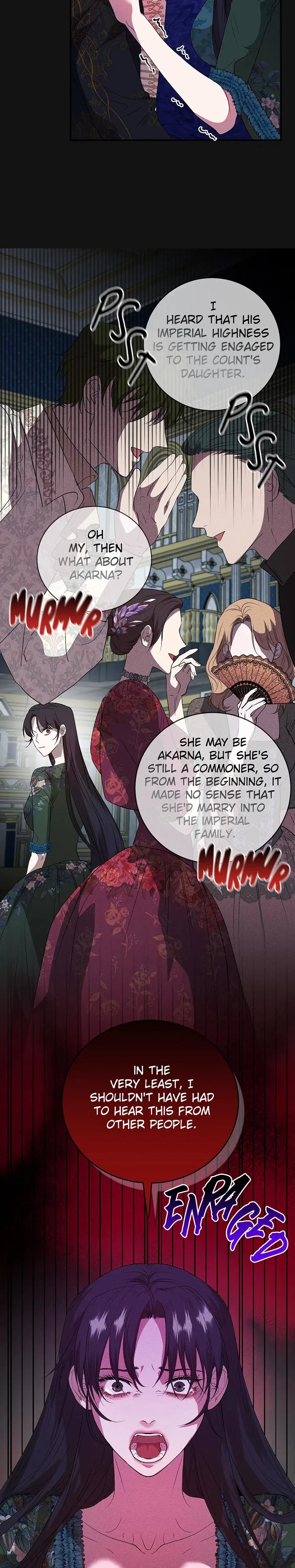 Chapter 4, page 17
