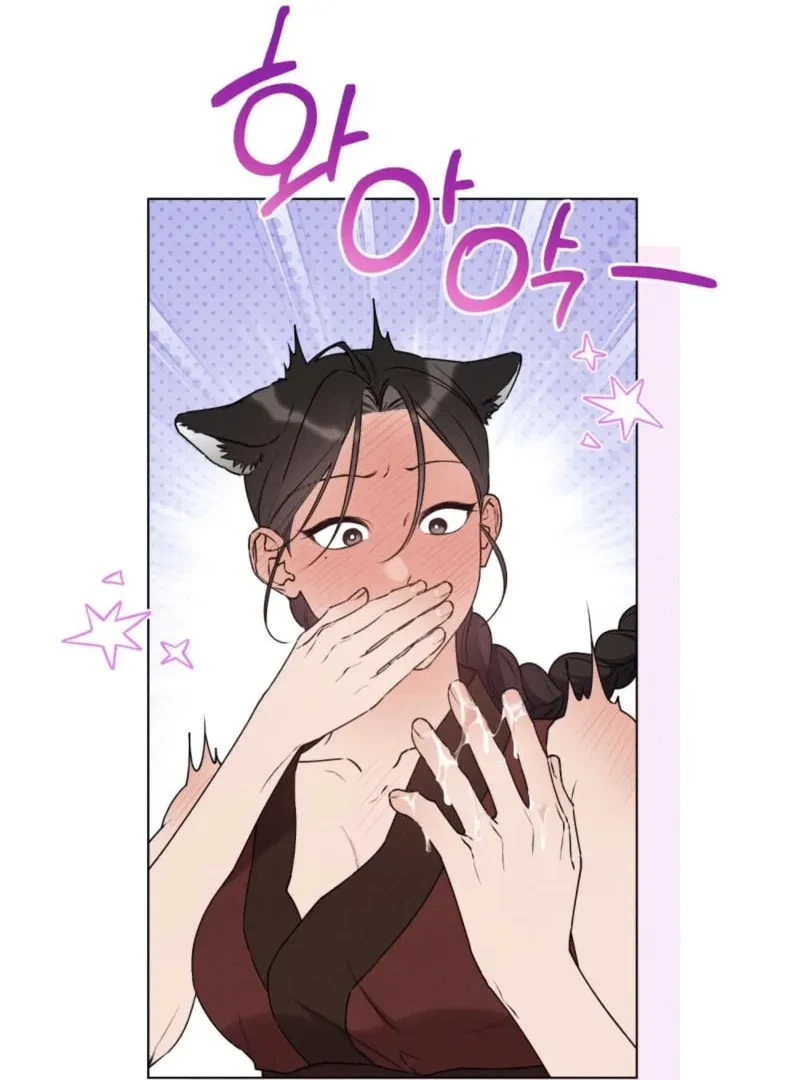 Chapter 2, page 63