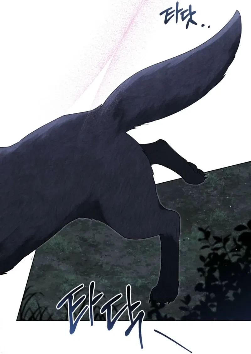 Chapter 2, page 69