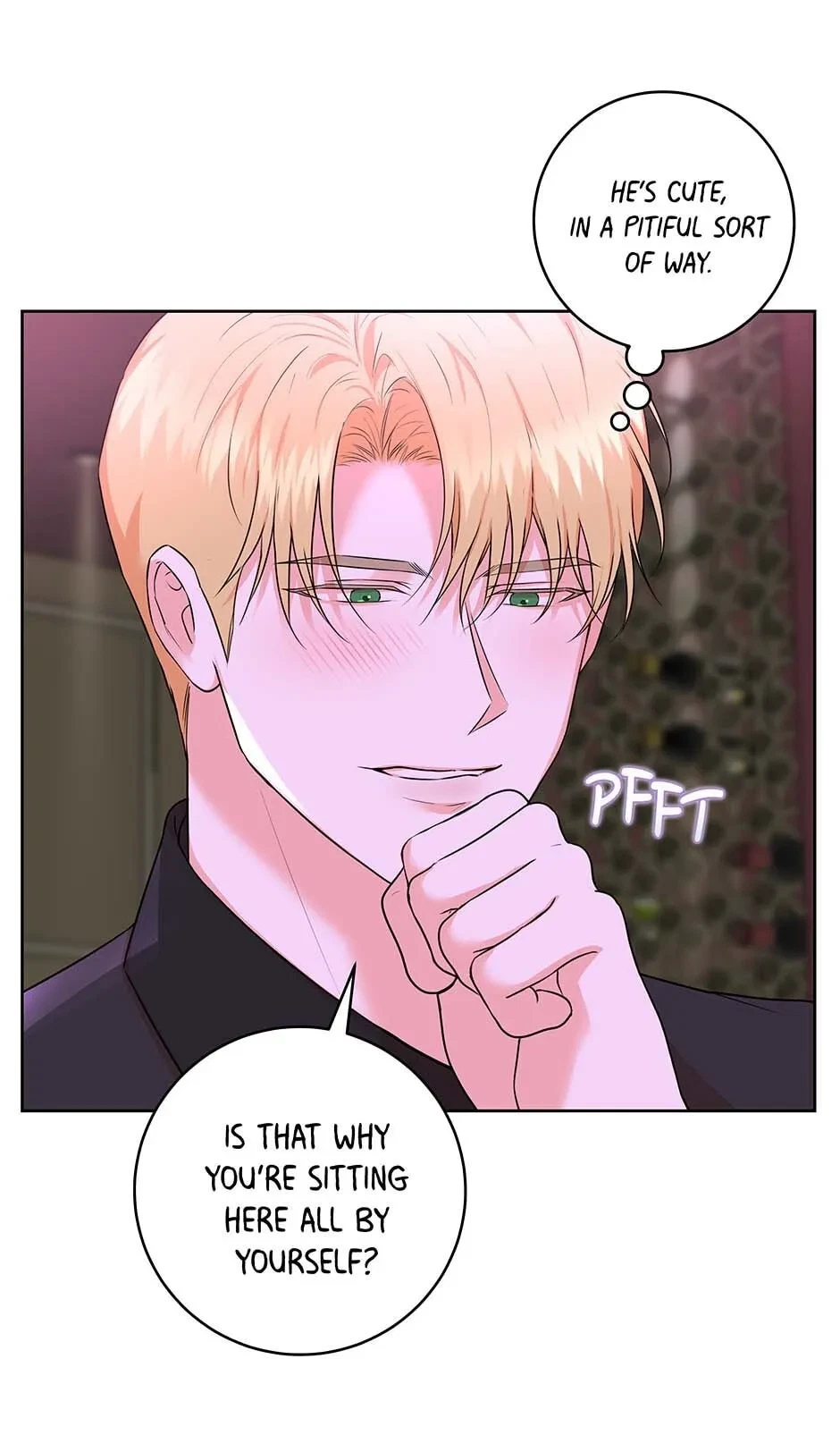 Chapter 3.1, page 24