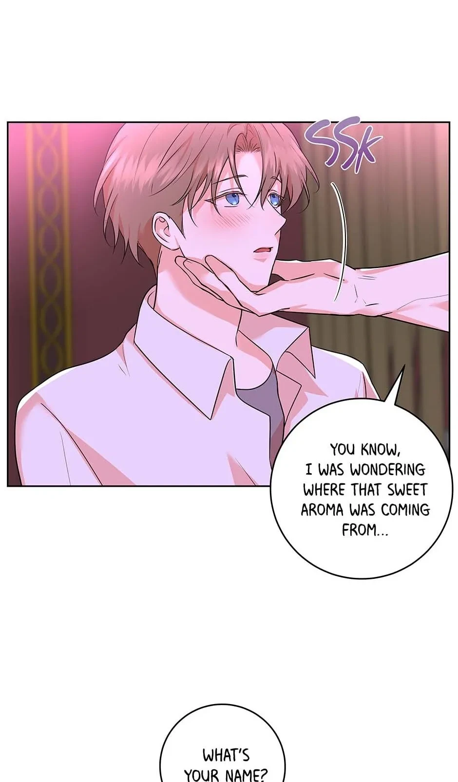 Chapter 3.1, page 25